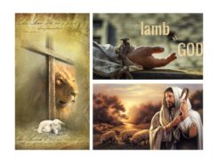Lamb of God