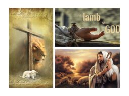 Lamb of God