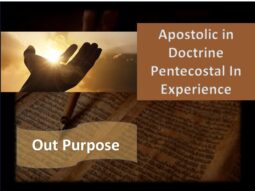 Our Purpose