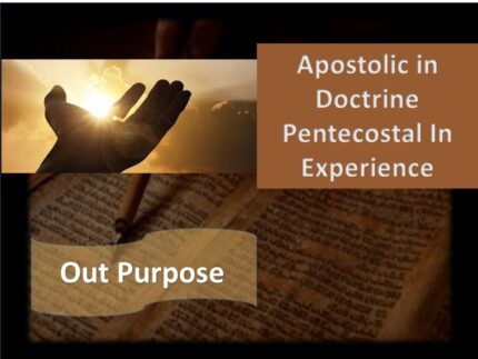 Our Purpose